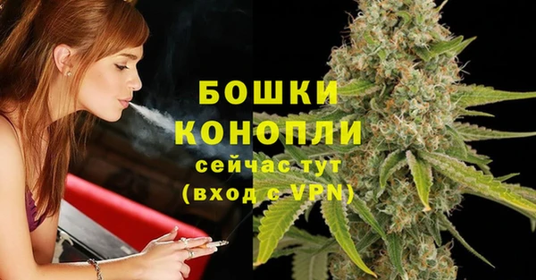 прущая мука Богородицк