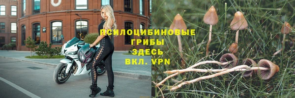 прущая мука Богородицк