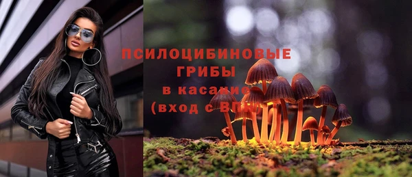 прущая мука Богородицк
