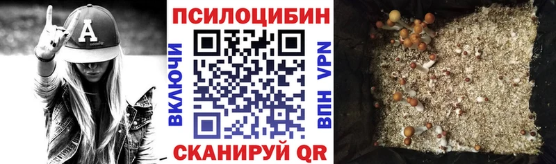 Псилоцибиновые грибы Psilocybine cubensis  Краснозаводск 