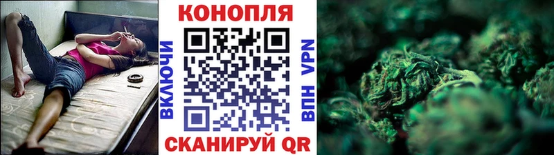 Бошки Шишки семена  kraken   Краснозаводск  магазин  наркотиков 